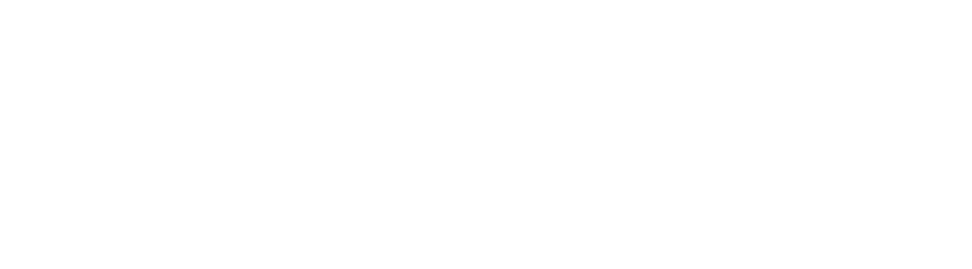 Steam